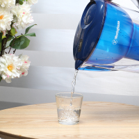 西屋Westinghouse净水壶3.5L