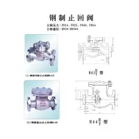 ZDET J系列安徽求精止回阀 H44H-25 DN200
