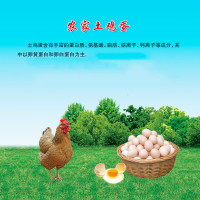 [江苏乡村振兴][财政集采]苏米丰 农家土鸡蛋(40枚/箱)