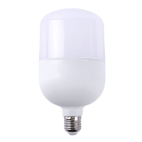 佳格 9W LED螺口灯