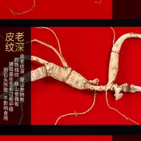 人参礼盒 山参整枝礼盒装 精选长白山移山参泡酒整枝林下参山参干人参