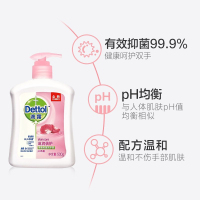 滴露抑菌洗手液500g/瓶(单位:瓶)