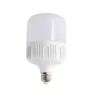 LED灯泡60W 单位:个