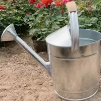 柔诺 白铁皮浇花壶 防磨手壶+喷头 10升