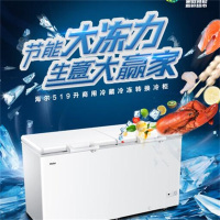T 海尔(Haier) HCM 519升 冷柜 台