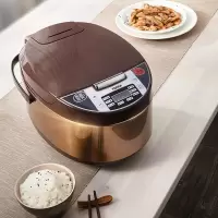 KONKA康佳电饭煲KGDFB-4L16