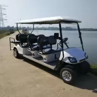 傲森 旅游观光车8座 白色 48V电压