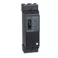 德力西 DELIXI ELECTRIC 塑壳漏电断路器(透明盖)DZ15LE-100T/4901100A15mA透明.