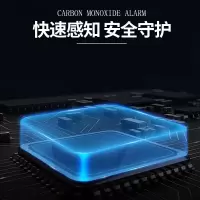 普通款CO-2088带电池 氧化碳煤气煤烟检测仪管道煤气有毒气体CO探测器 煤炉烧炭警报器 单位:个 (WB)
