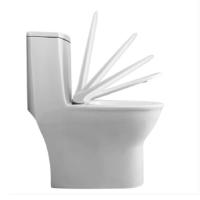 DZ-3114坐便器马桶 虹吸式连体座便器 一体式