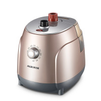 奥克斯雅致系列立式挂烫机AUX-ZR2190