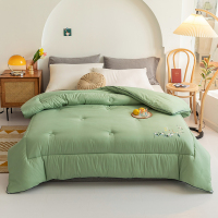 木辛梓大豆薄荷冬被