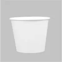 纸杯一包50只/件