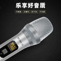 万利达 一拖二无线话筒带接收器调频家庭会议客厅KTV户外通用手持无线 一拖二无线话筒 官方标配