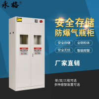 永格实验室工业防火防爆柜危化品化学品储存柜毒麻柜带报警全钢气瓶柜一代报警器双瓶