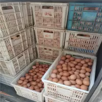 [江苏乡村振兴][财政集采][丰县] 润喜缘 270个一筐 10件起拍