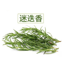 新鲜迷迭香120g