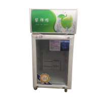 立式食品留样柜冷藏保鲜柜小冰箱商用留样展示柜饮料柜水果蔬菜柜