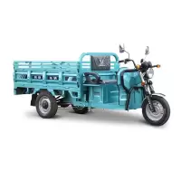 电动三轮车 1600*1100