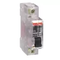 德力西 DELIXI ELECTRIC DZ47 1P C 50A 小型断路器 DZ47 透明壳 1P C 50A.