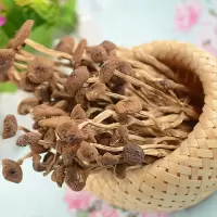 [江苏乡村振兴][财政集采]苏米丰 茶树菇(120g/袋)(4袋起订,单订不发)