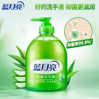 蓝月亮洗手液(500ml/瓶)