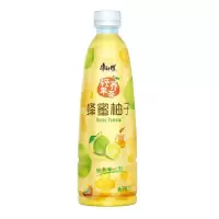 康师傅 蜂蜜柚子500ml*2