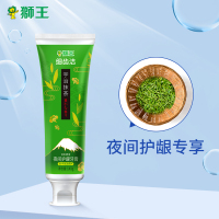 狮王 细齿洁夜间护龈牙膏宇治抹茶140g 清新口气 nfh