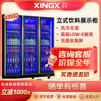 星星(XINGX) 冷藏啤酒柜 三门立式展示柜 酒吧全面屏保鲜柜 超市玻璃饮料柜 全屏双门款 IVGC-3D-6520W