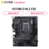 七彩虹H510M-D M.2 V20主板