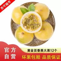 黄金百香果大果12个当季新鲜水果 自营水果