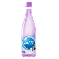 海之言 海盐 蓝莓黑加仑 水果饮料 500ml/瓶