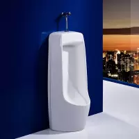 箭牌(ARROW) 立式小便器480*310*990mm(单位:套)