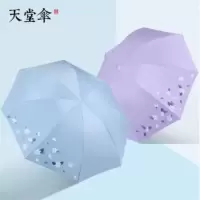 天堂伞zs01