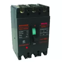 德力西 DELIXI ELECTRIC DZ1540253M DZ15塑壳断路器 DZ15-40/3902 25A.