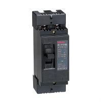 德力西 DELIXI ELECTRIC DZ15塑壳断路器 DZ15-40/3902 40A(包装数量 1个).