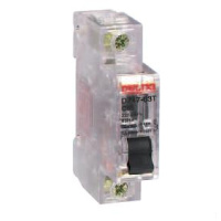 德力西 DELIXI ELECTRIC DZ47SGQF系列小型断路器DZ47SGQR50(包装数量 1个)