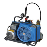 霍尼韦尔 Honeywell BC163099R 电动充气泵(220V)(包装数量 1个).