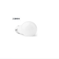 LED 5W LED球泡灯 100个/箱(单位:箱)(BY)