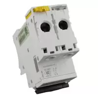 施耐德 断路器 A9系列空开IC65N2P 20安（一个）