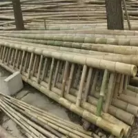 [镁多力]竹梯子直梯 家用工程电力直梯工程梯子 3米竹梯