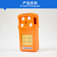 防爆便携式多参数测定器 CD4