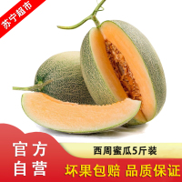 哈密瓜西州蜜瓜新鲜当季时令应季水果整箱 带箱5斤装