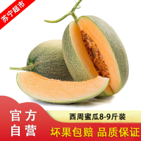 哈密瓜西州蜜瓜新鲜当季时令应季水果整箱 带箱8-9斤装