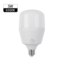 木林森 森之光系列T泡5W TM_E27灯头_开关电源_220V_磨砂圆柱形灯罩_6500K(2只)计量单位:组