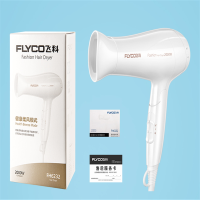 飞 科(FLYCO)电吹风机家用FH6232大功率吹风筒 2000W