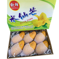 海南水仙芒果6头/件