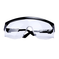 固安捷 206 优越型 防雾安全眼镜 护目镜 10副