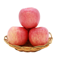 洛川红富士(套袋)精品净重9斤装 果径≥75mm
