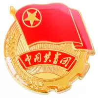 标准款共青团团徽 磁铁扣别针学生用标准型团徽（10个装）
